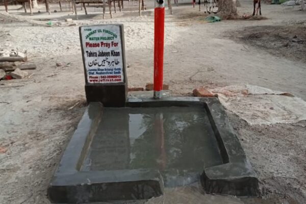WhatsApp Image 2022-05-07 at 5.13.12 PM